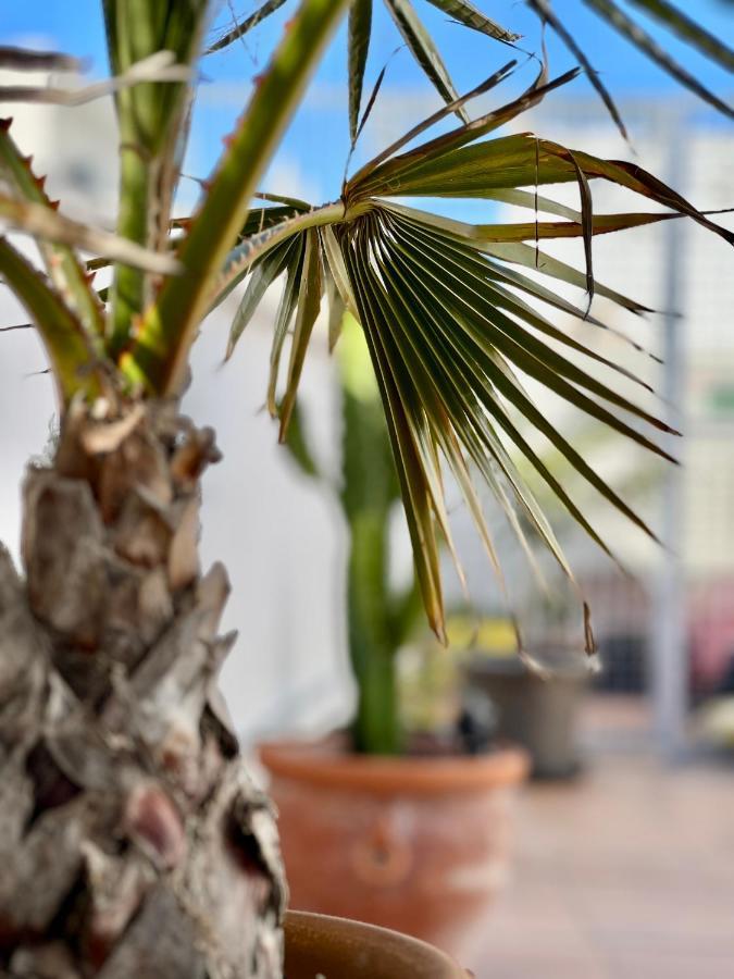 La Terraza De Porvenir 10 - Jerez De La Frontera Apartman Kültér fotó