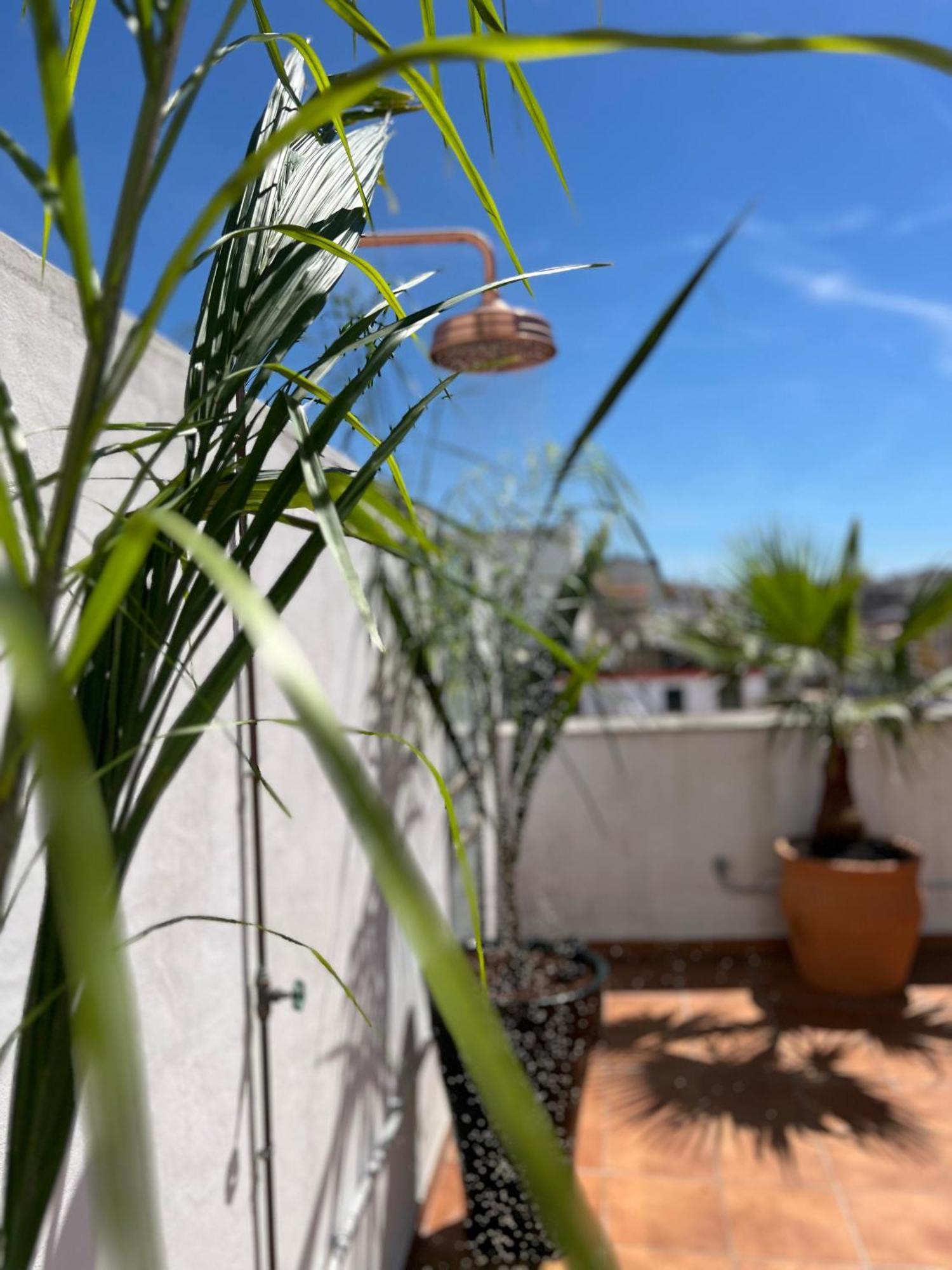 La Terraza De Porvenir 10 - Jerez De La Frontera Apartman Kültér fotó